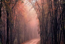 开云2026-遥远的共振，当伯纳乌遇见TD花园，沸腾的肾上腺素不辨东西